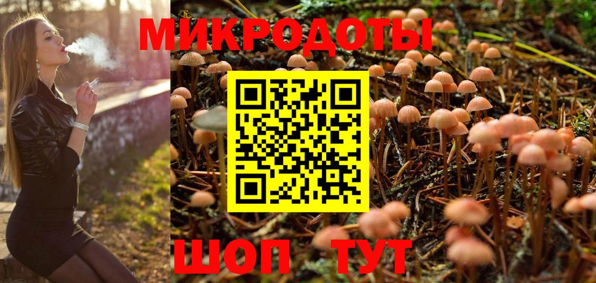 Псилоцибиновые грибы Cubensis  Апшеронск  Псилоцибиновые грибы Psilocybe 